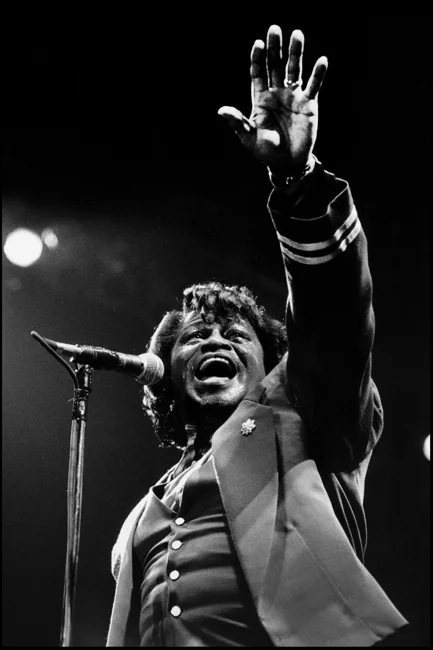 James Brown — Stephen Wright